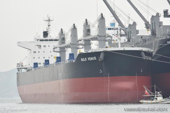 vessel Bulk Venus IMO: 9744520, Bulk Carrier
