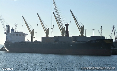 vessel Golden Hawk IMO: 9745598, Bulk Carrier
