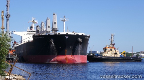 vessel Draftdodger IMO: 9746102, Bulk Carrier
