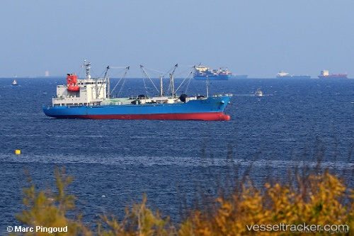 vessel Goutamaru IMO: 9746827, Refrigerated Cargo Ship
