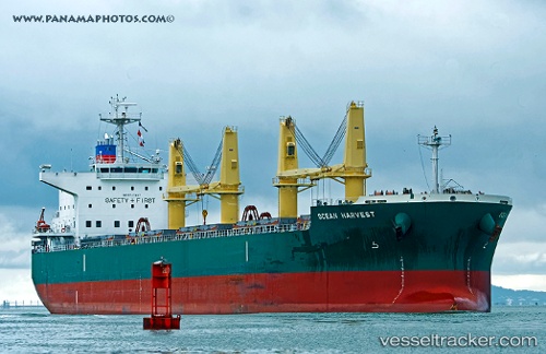 vessel Ocean Harvest IMO: 9747467, Bulk Carrier
