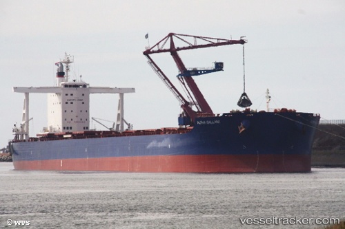 vessel Alpha Gallant IMO: 9747871, Bulk Carrier
