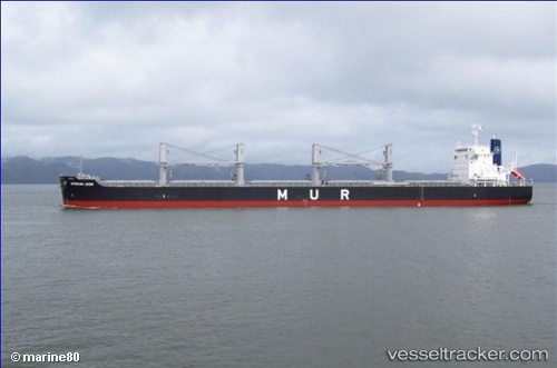 vessel AFRICAN LOON IMO: 9748071, Bulk Carrier