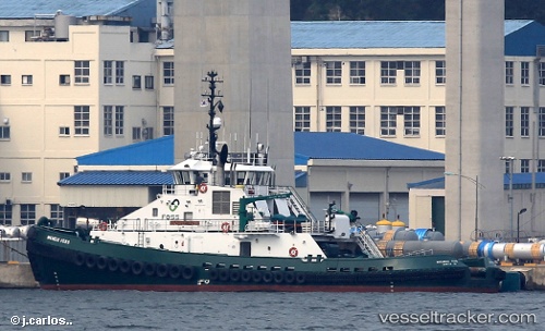vessel Michele Foss IMO: 9748564, Tug

