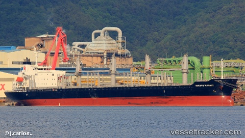vessel Naruto Strait IMO: 9749843, Bulk Carrier

