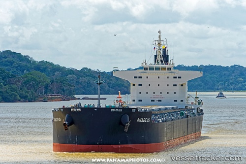 vessel Amadeus IMO: 9749855, Bulk Carrier
