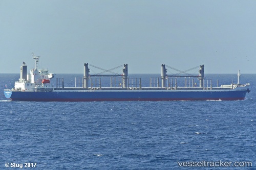 vessel Andrea Enterprise IMO: 9749946, Bulk Carrier
