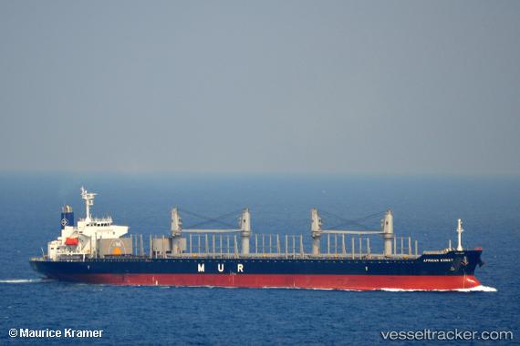 vessel African Egret IMO: 9749996, Bulk Carrier
