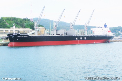 vessel African Heron IMO: 9750000, Bulk Carrier
