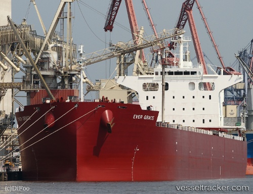 vessel Ever Grace IMO: 9750309, Bulk Carrier
