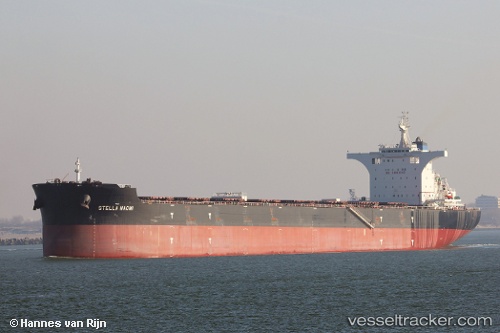 vessel NAOMI IMO: 9750971, Bulk Carrier