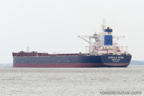 vessel Stella Tess IMO: 9752199, Bulk Carrier
