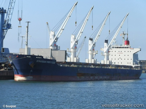 vessel Strategic Fortitude IMO: 9753387, Bulk Carrier
