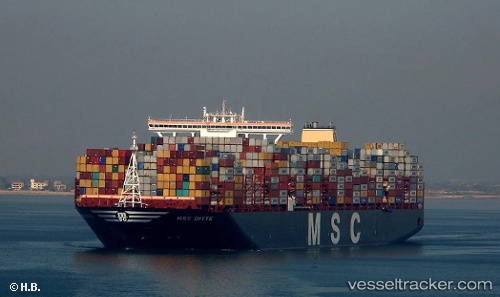 vessel Msc Ditte IMO: 9754953, Container Ship
