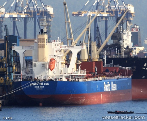 vessel Honey Island IMO: 9755464, Bulk Carrier
