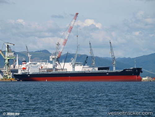 vessel Pegasus IMO: 9755842, Bulk Carrier
