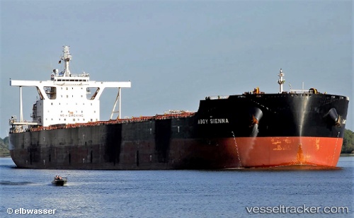 vessel STAR SIENNA IMO: 9756224, Bulk Carrier