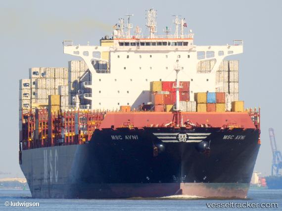 vessel Msc Avni IMO: 9756729, Container Ship
