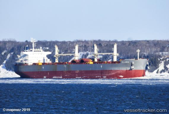 vessel Ellirea IMO: 9757008, Bulk Carrier
