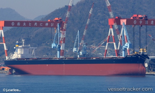 vessel Mineral Yarden IMO: 9757838, Bulk Carrier
