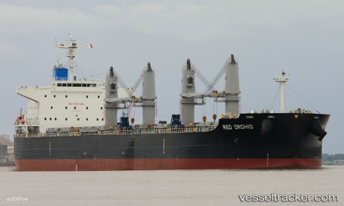 vessel Red Orchid IMO: 9757890, Bulk Carrier
