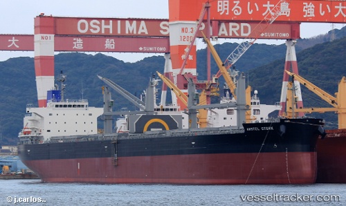 vessel Amstel Stork IMO: 9758143, Bulk Carrier
