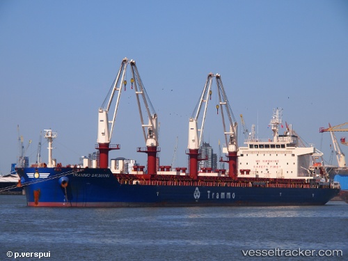 vessel Trammo Baumann IMO: 9762883, Bulk Carrier
