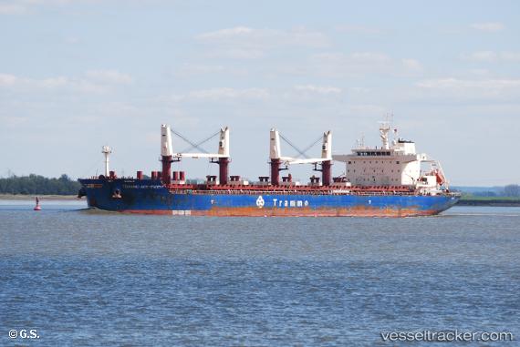 vessel Trammo Independent IMO: 9762895, Bulk Carrier
