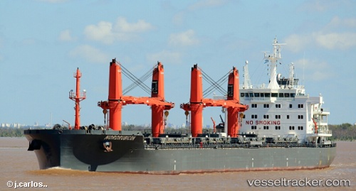 vessel TOMINI BORA IMO: 9763693, Bulk Carrier