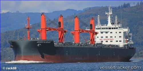 vessel TOMINI ZONDA IMO: 9763708, Bulk Carrier