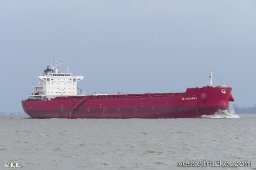 vessel ANDONIS IMO: 9763916, Bulk Carrier