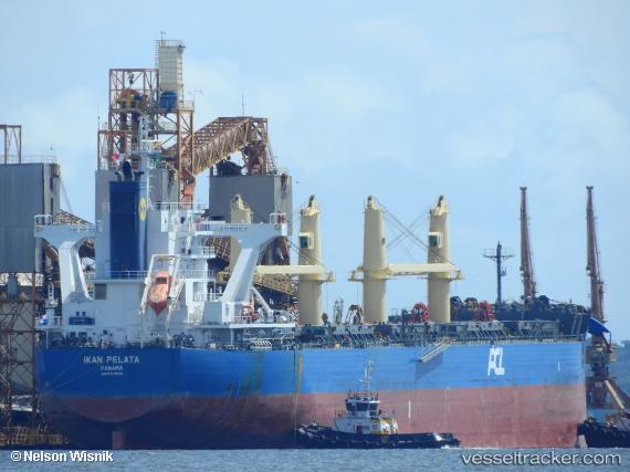 vessel Ikan Pelata IMO: 9764104, Bulk Carrier
