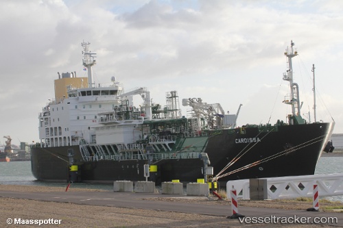 vessel NEW FRONTIER1 IMO: 9765079, Bunkering Tanker (LNG)
