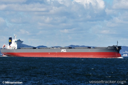 vessel Rising Himeji IMO: 9767467, Bulk Carrier
