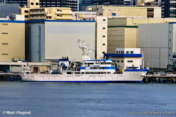 vessel Shinyo Maru IMO: 9767675, Training Ship
