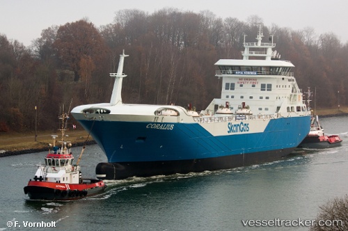 vessel Coralius IMO: 9769128, Lng Tanker
