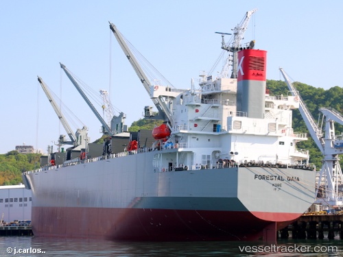 vessel Forestal Gaia IMO: 9773832, Wood Chips Carrier
