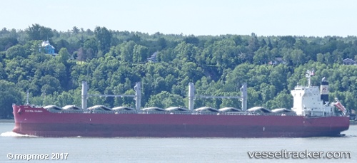 vessel Federal Imabari IMO: 9774331, Bulk Carrier
