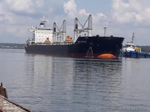 vessel SPAR NORMA IMO: 9774850, Bulk Carrier