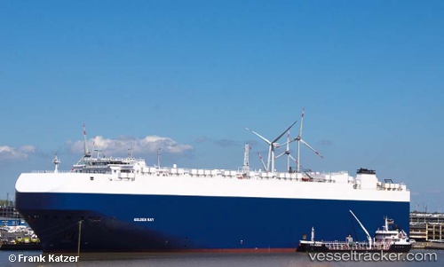 vessel Golden Ray IMO: 9775816, Vehicles Carrier
