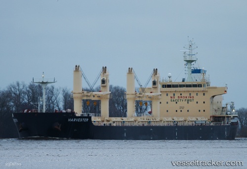 vessel Harvester IMO: 9777711, Bulk Carrier
