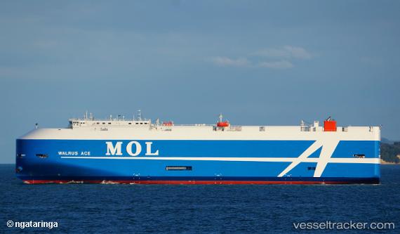 vessel Walrus Ace IMO: 9777826, Vehicles Carrier
