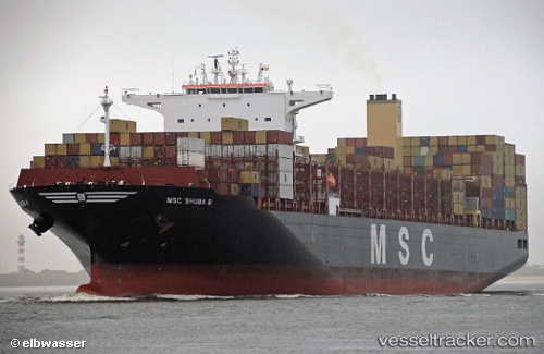 vessel Msc Shuba B IMO: 9778076, Container Ship
