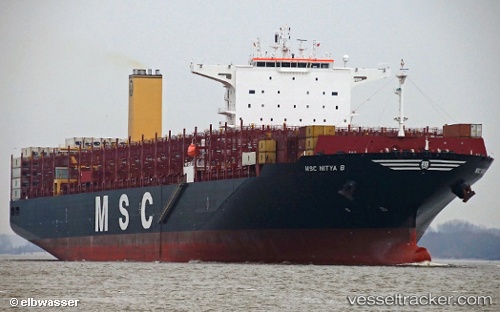 vessel Msc Nitya B IMO: 9778117, Container Ship
