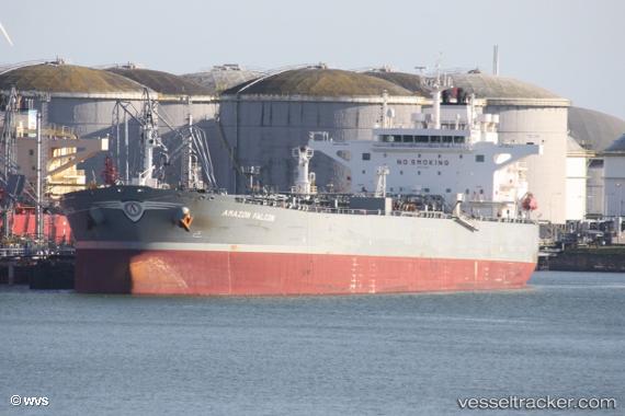 vessel AMAZON FALCON IMO: 9779587, Crude Oil Tanker