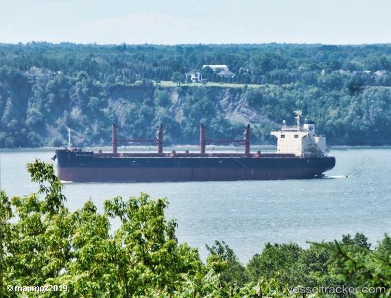 vessel Bulk Destiny IMO: 9781994, Bulk Carrier

