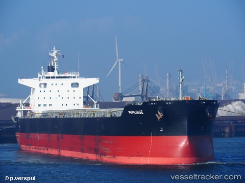 vessel Puplinge IMO: 9782156, Bulk Carrier
