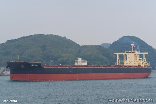 vessel Nsu Trust IMO: 9782297, Bulk Carrier
