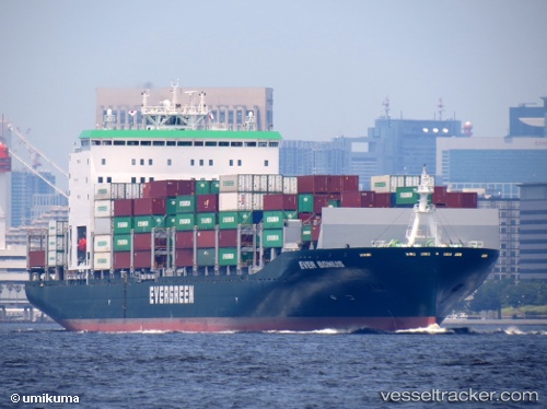 vessel ITAL BONUS IMO: 9786994, Container Ship