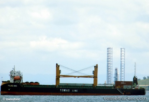 vessel Palung Mas IMO: 9791755, Container Ship
